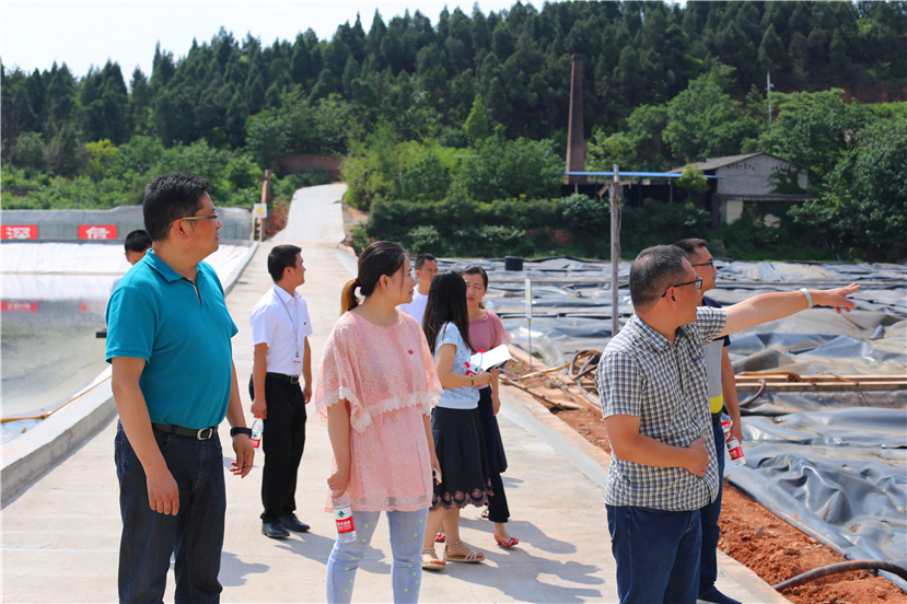 集團第一檢查組檢查杰陽排水公司、固廢處置公司安全防汛和環(huán)保達標各項工作3_副本